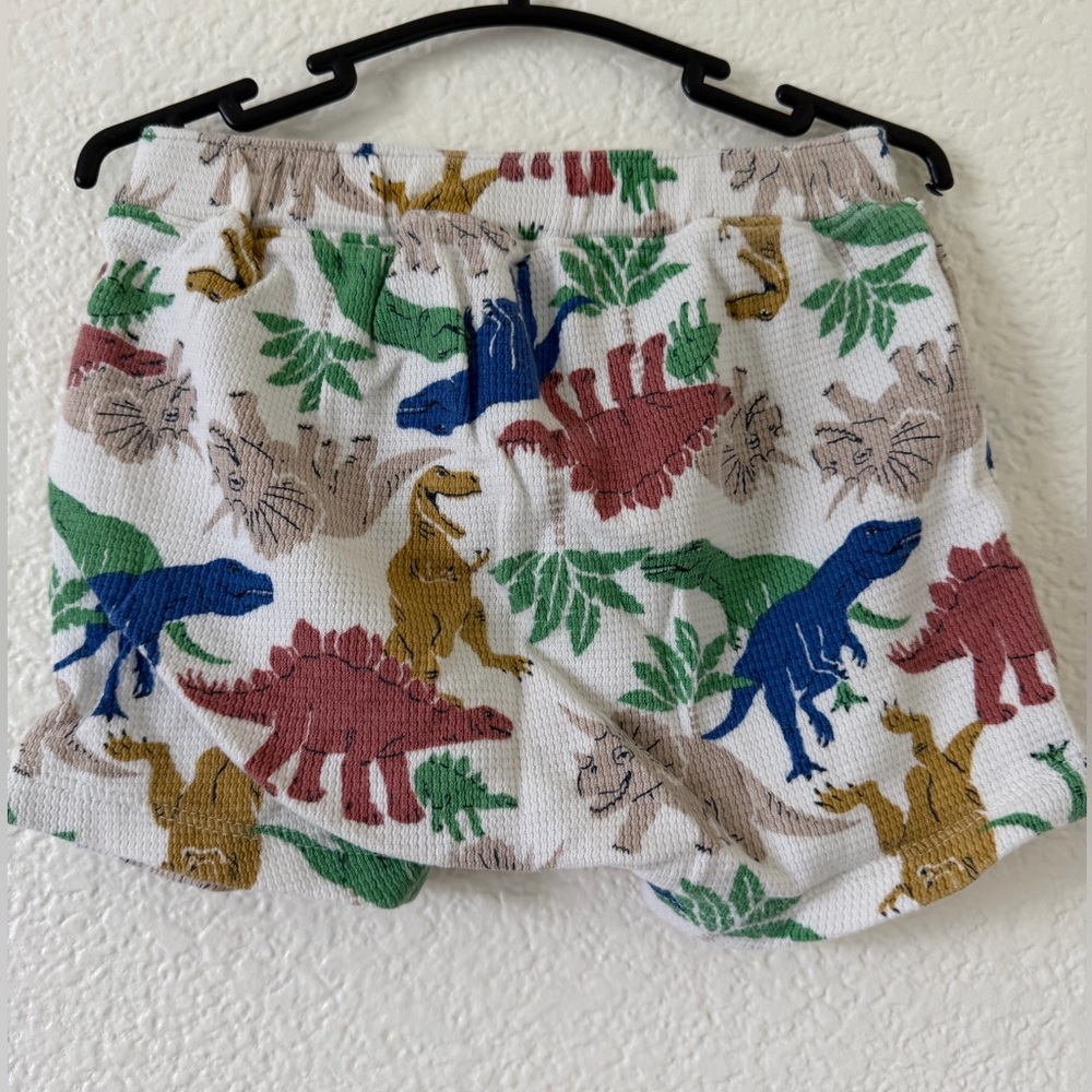 Matching Dinosaur Set - Picture 10 of 11